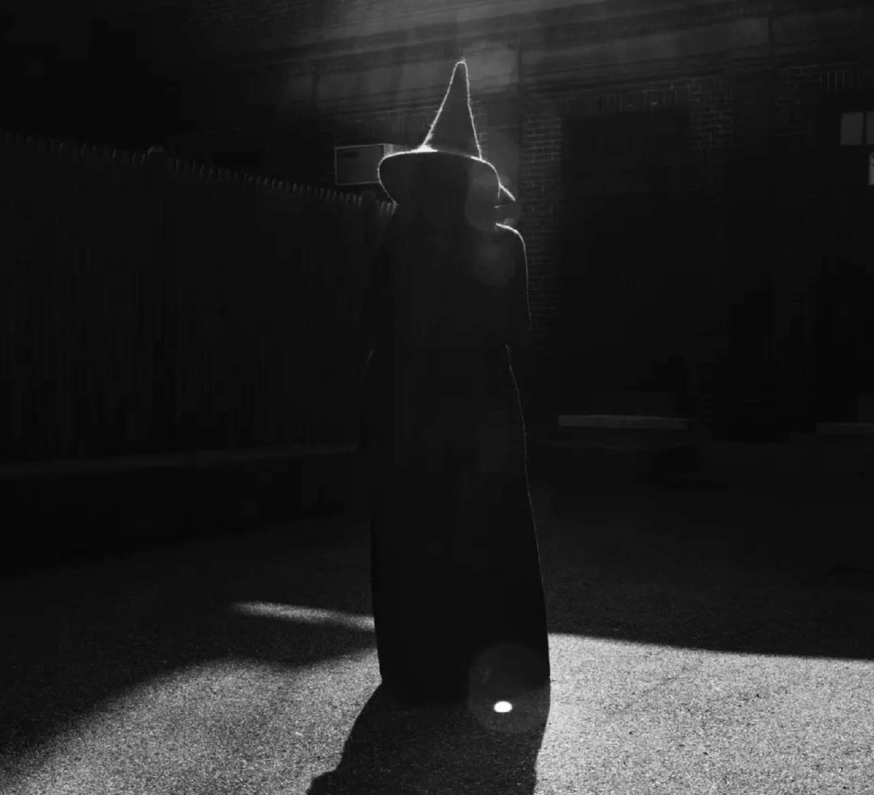 Zum Artikel "Ambiguous Representations – Women, Witches, and Power in Literature and Critical Theory"